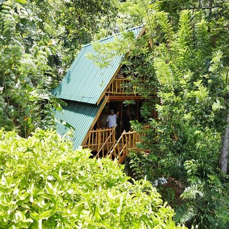 Eco Village 엘라 외부 사진