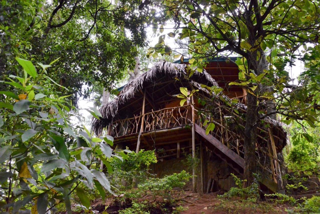 Eco Village 엘라 외부 사진