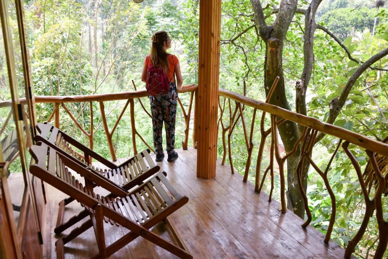 Eco Village 엘라 외부 사진