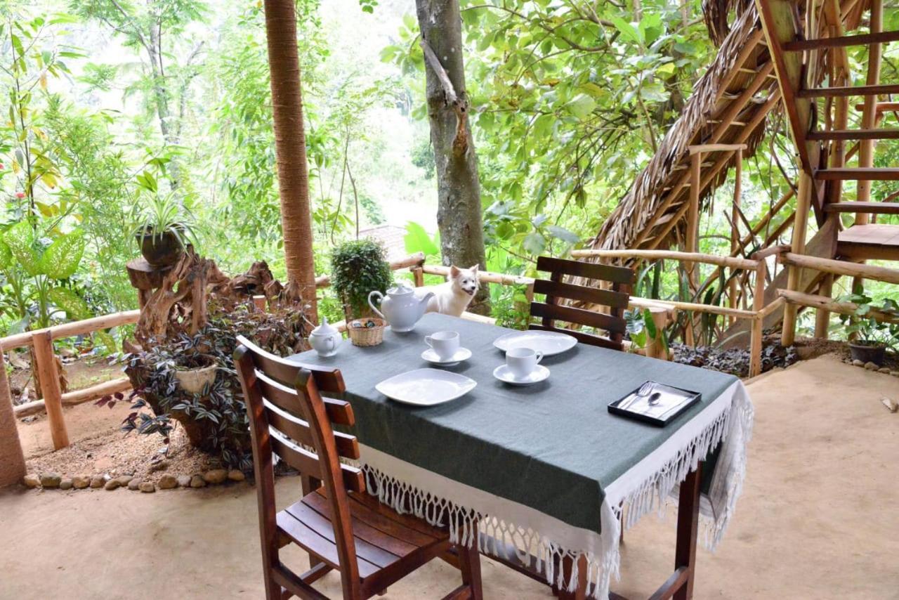 Eco Village 엘라 외부 사진