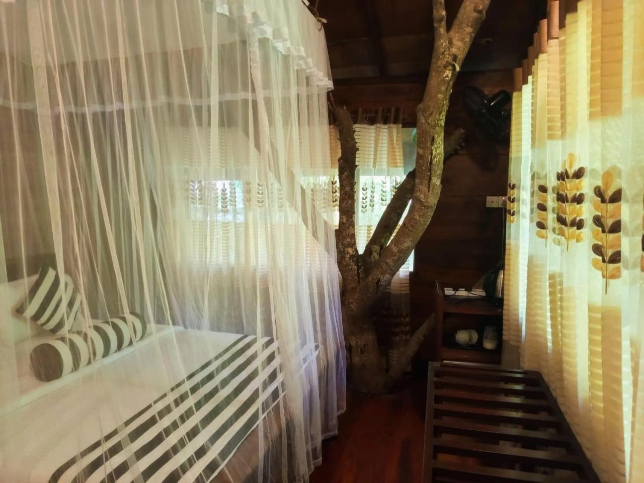 Eco Village 엘라 외부 사진