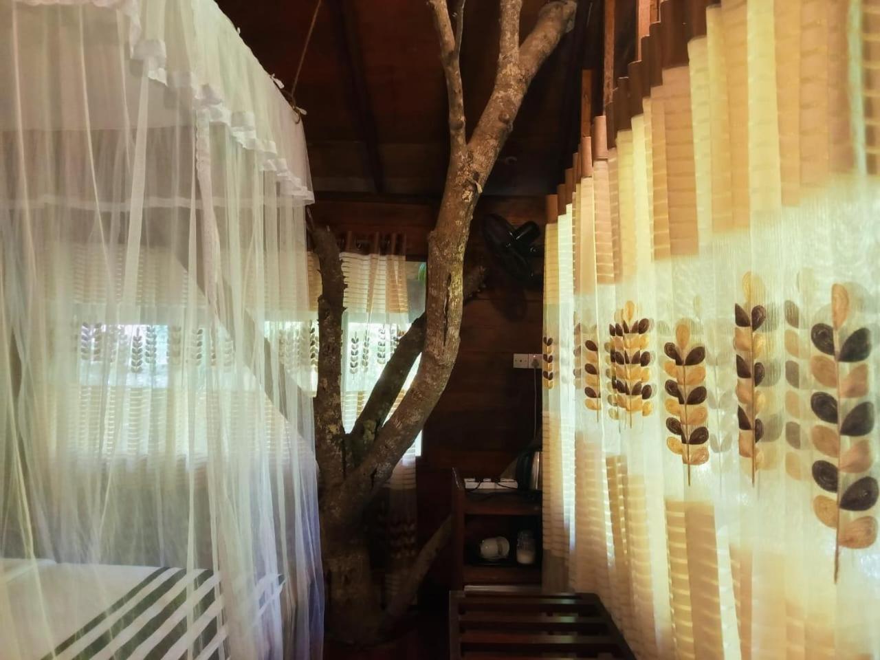 Eco Village 엘라 외부 사진